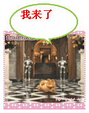 咖啡猫一下滑来了