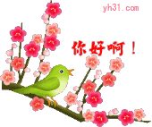 你好啊
