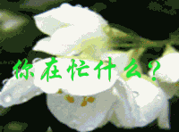 在忙什么