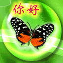 蝴蝶问好