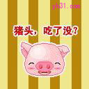 猪头，吃了没