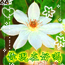 你现在好吗