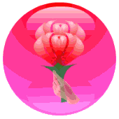 你好