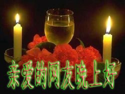 亲爱的网友，晚上好