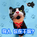 鸟人，你在干嘛？