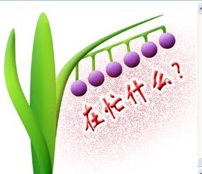 在忙什么呢