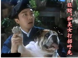 旺财，快和美女打招呼
