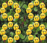 888888