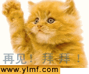 再见，拜拜