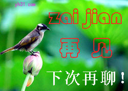 再见，下次再聊