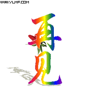 送一只鲜花给你，再见了