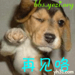 小狗挥一挥手，再见咯