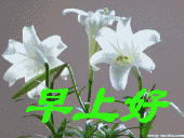 早上好