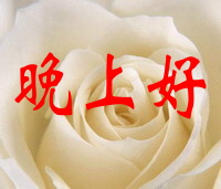 晚上向你问好