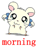 morning