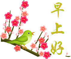 早上好