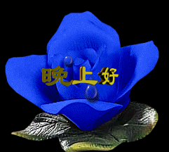 晚上好