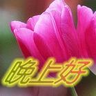 晚好