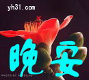 祝你晚安