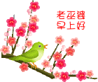 老巫婆，早上好
