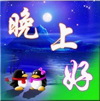 Q宠相互打招呼，早上好