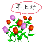 鲜花问候早上好
