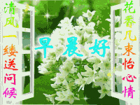 清风一缕送问候