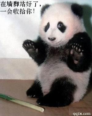 站好，一会收拾你