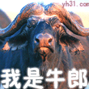 我是牛郎