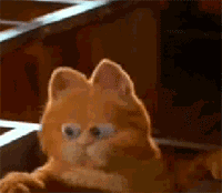 怪笑的咖啡猫