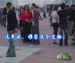这年头，谁家没个宠物
