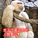我才是人猿泰山