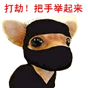 打劫，把手举起来