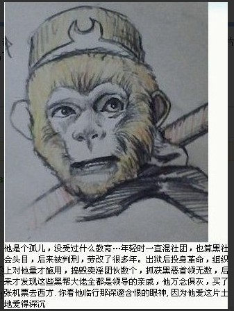 孙悟空的一生简介