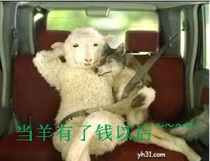 当羊有了钱以后