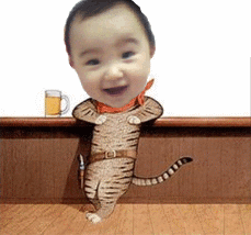 搞笑的人头猫身