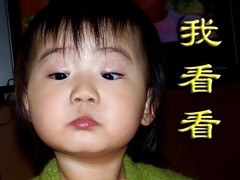 让我来看看