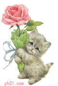 猫猫送花
