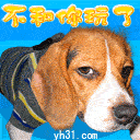 哼，不和你玩了