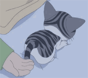 小猫的尾巴