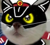 猫咪与猫头鹰的完美组合