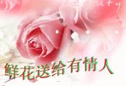 鲜花送有情人