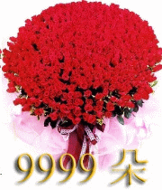999朵玫瑰