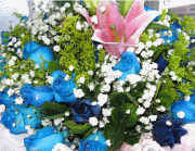 鲜花