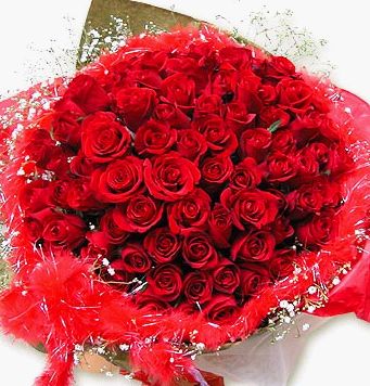 送你一束大玫瑰