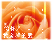 给你我全部的爱