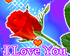 i love you