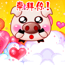 崇拜你
