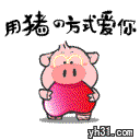 用猪的方式爱你
