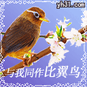 与我比翼双飞吧